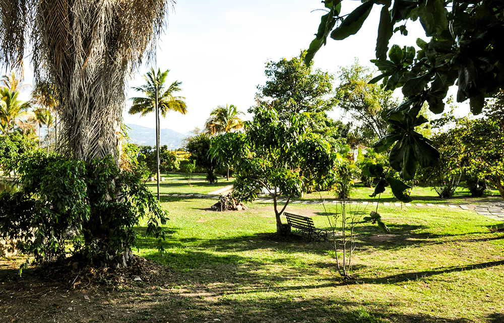 Landscape & Experimental Photography 3