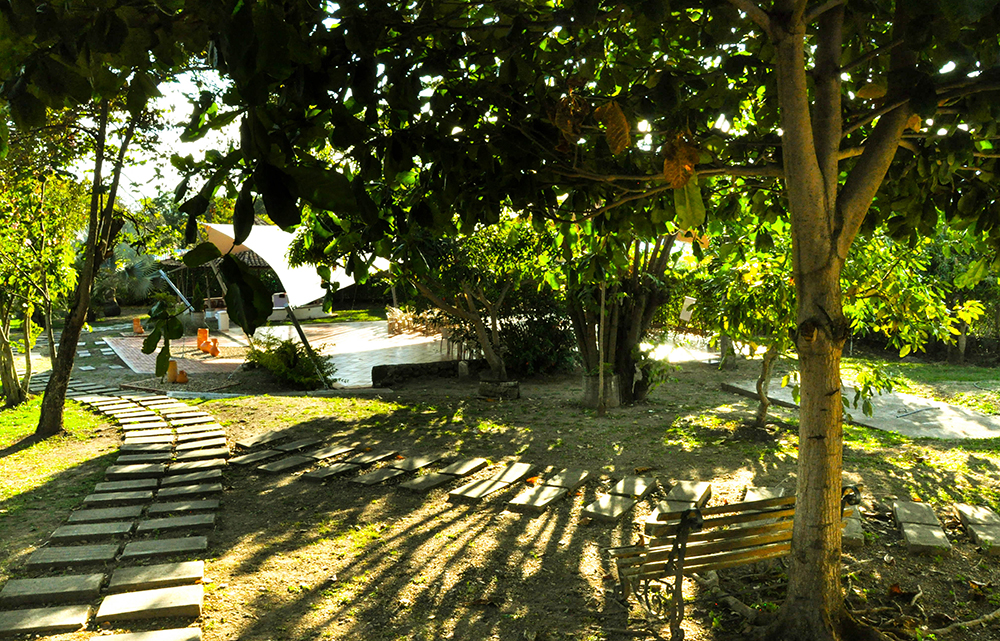 Landscape & Experimental Photography 4