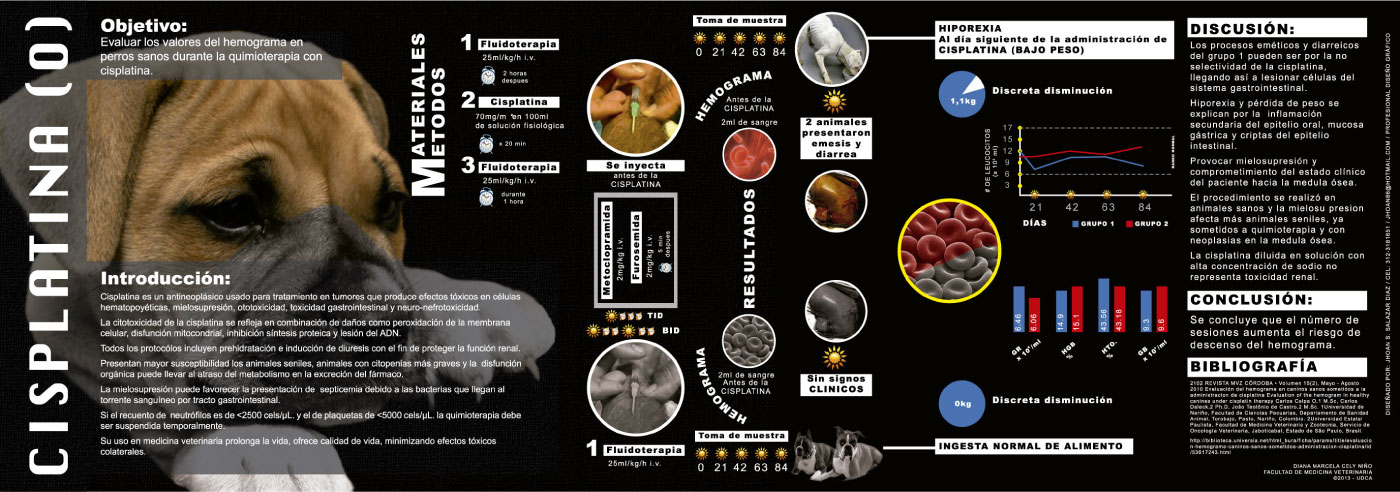 Infographic Design 2